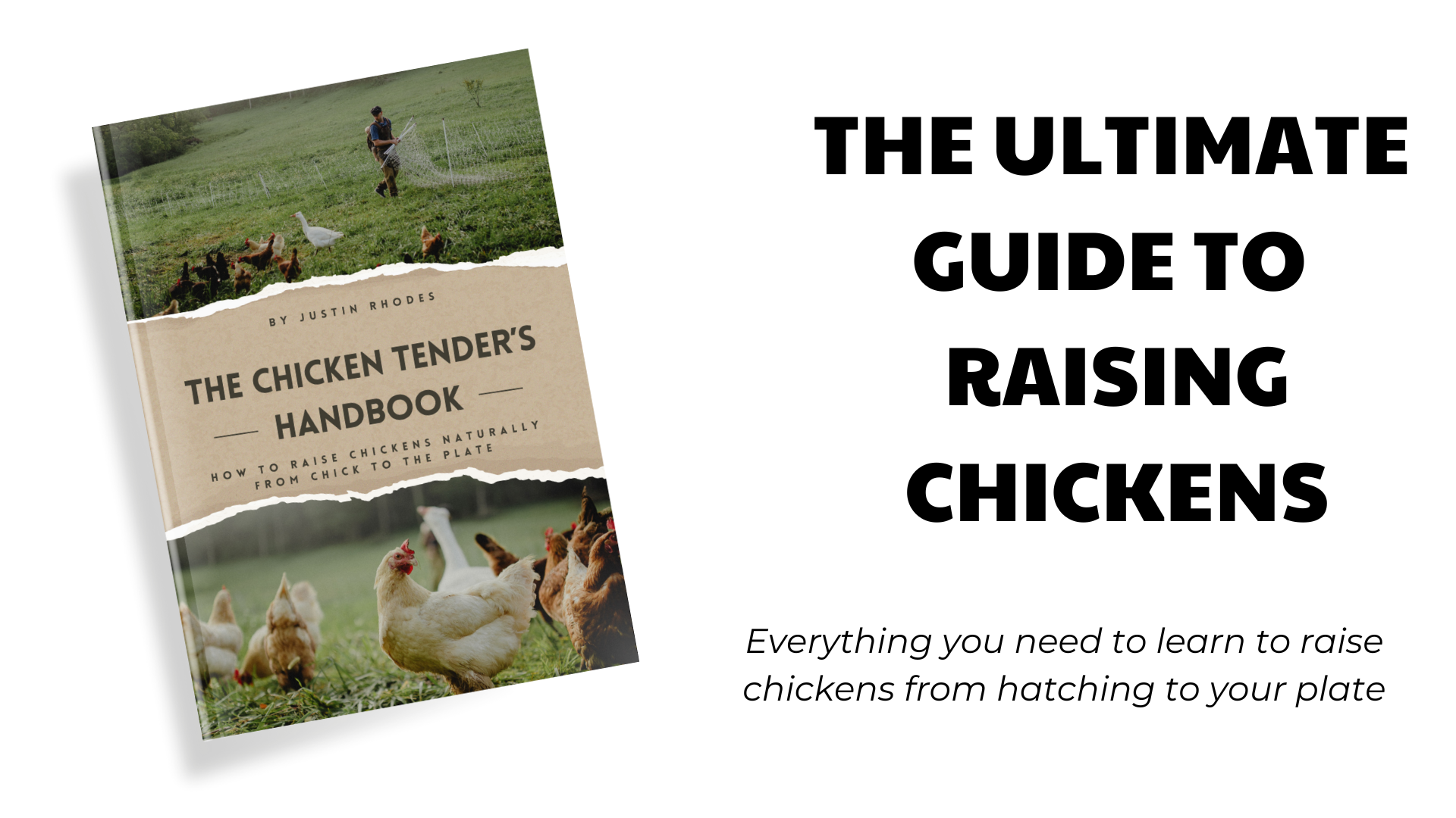 The Chicken Tender Handbook – Abundant Permaculture