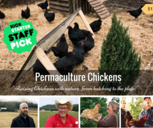 Permaculture Chickens DVD only